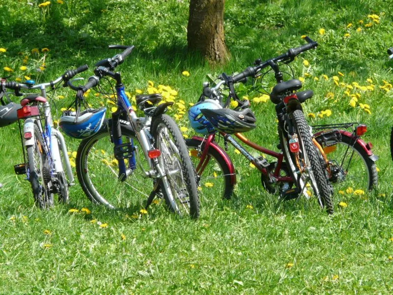 Pomysł na aktywność fizyczną? Wycieczka rowerowa!